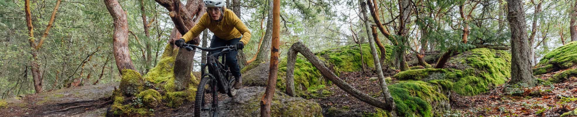 Specialized Mountain Bikes