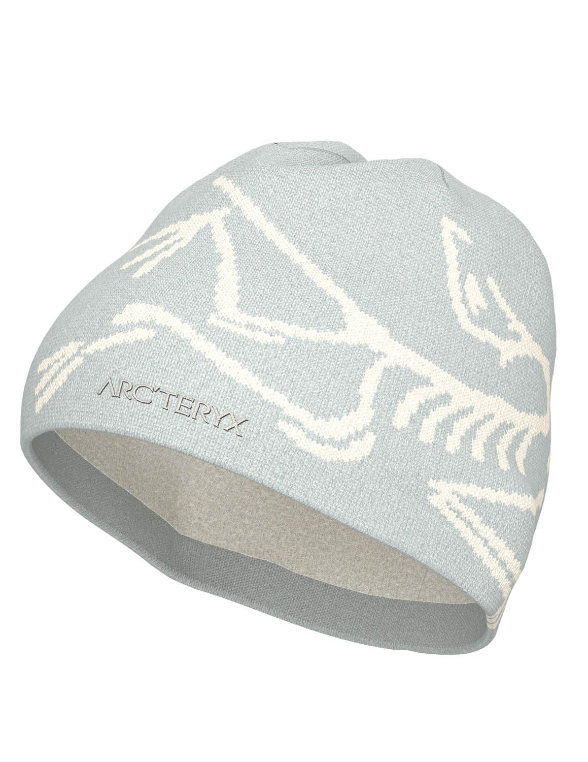 Bird Head Toque Arc'teryx
