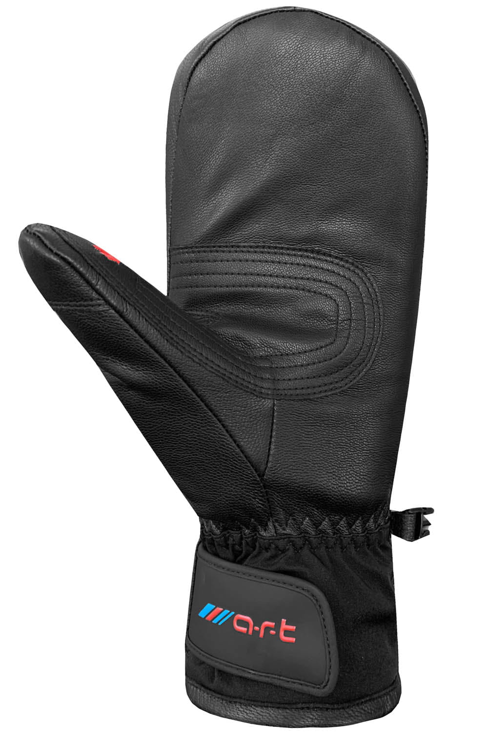 Junior Son Of T 4 Mittens Auclair