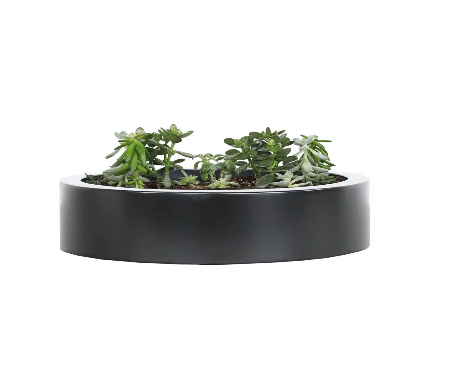 York Low 16" x 4" Medium Planter Black Cabana Coast