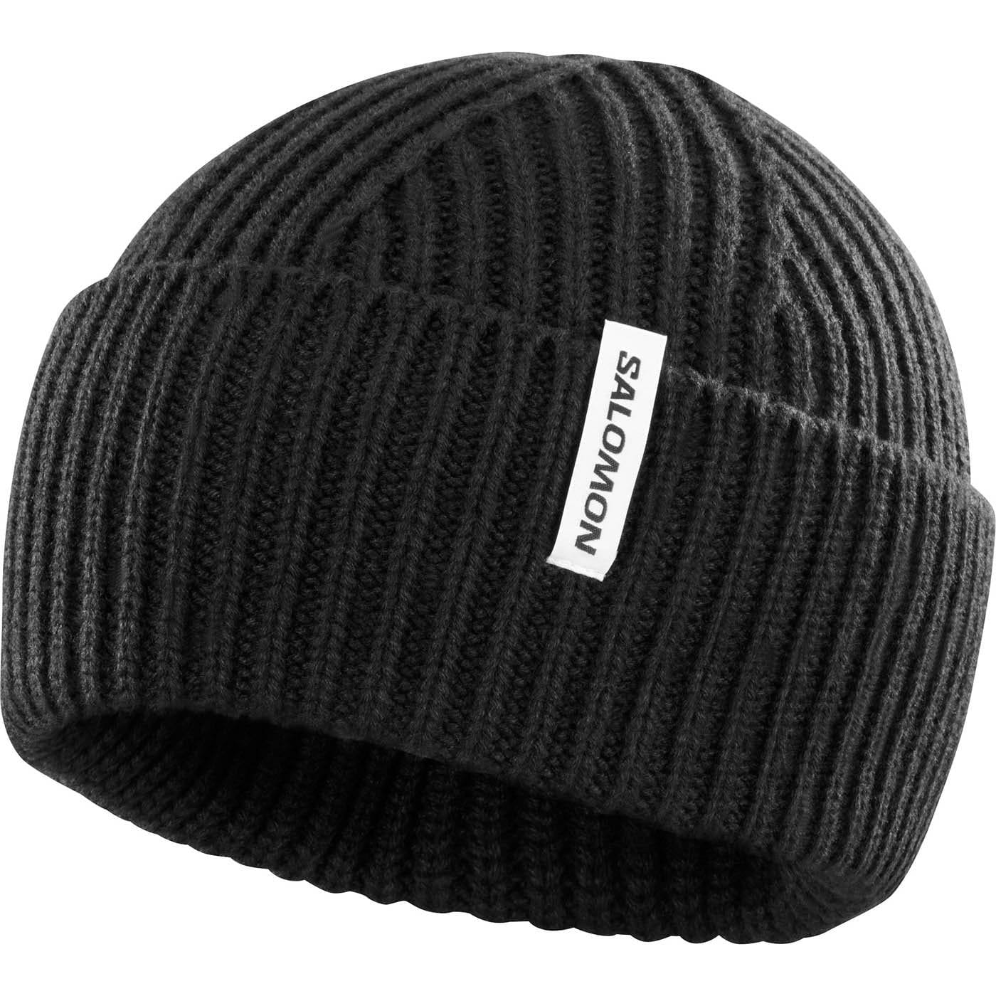 Salomon CLOTHING - Hats Salomon *25W* Snowbird Beanie U