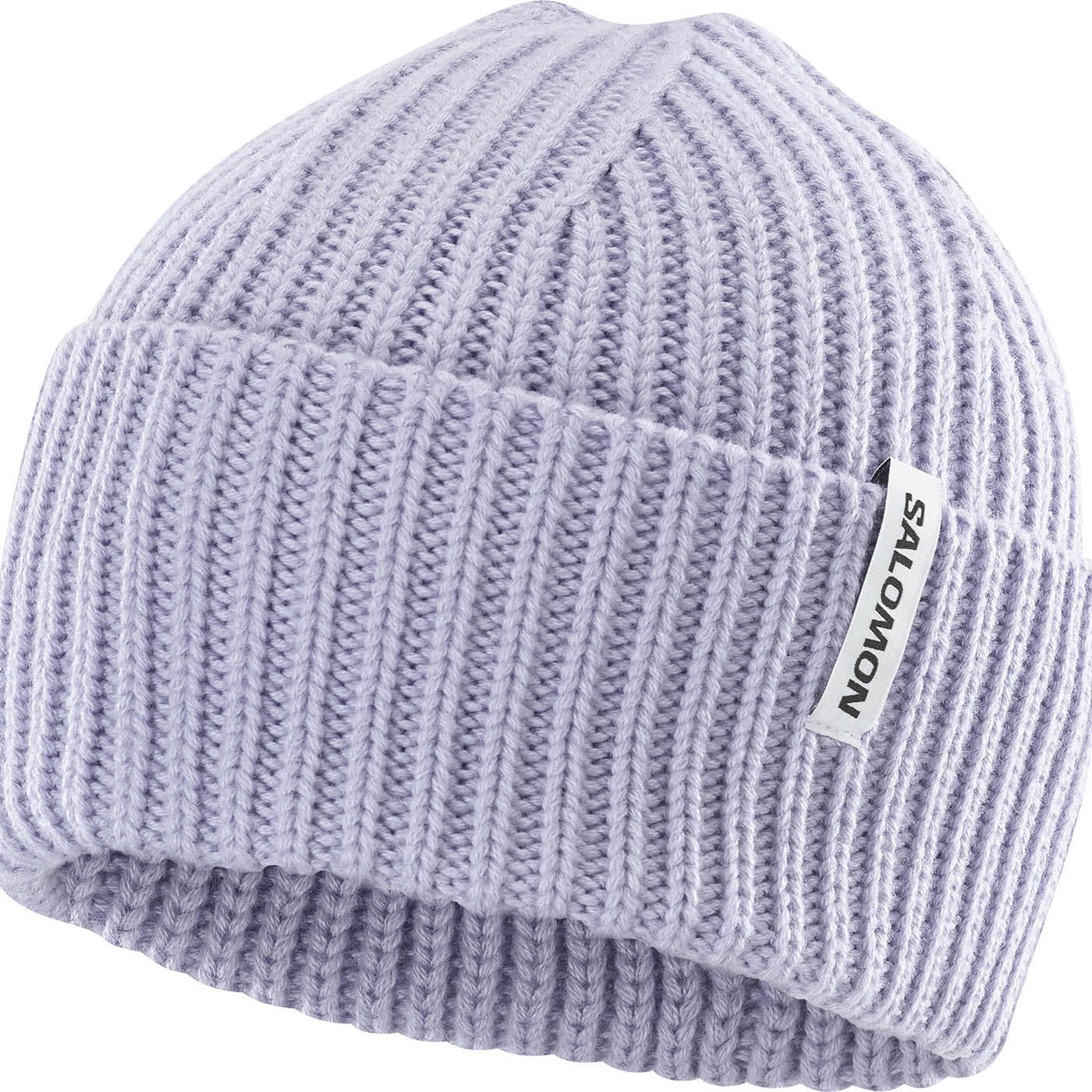 Salomon CLOTHING - Hats Salomon *25W* Snowbird Beanie U