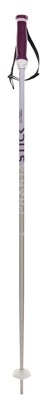 Women's Phantastick Silver Volkl