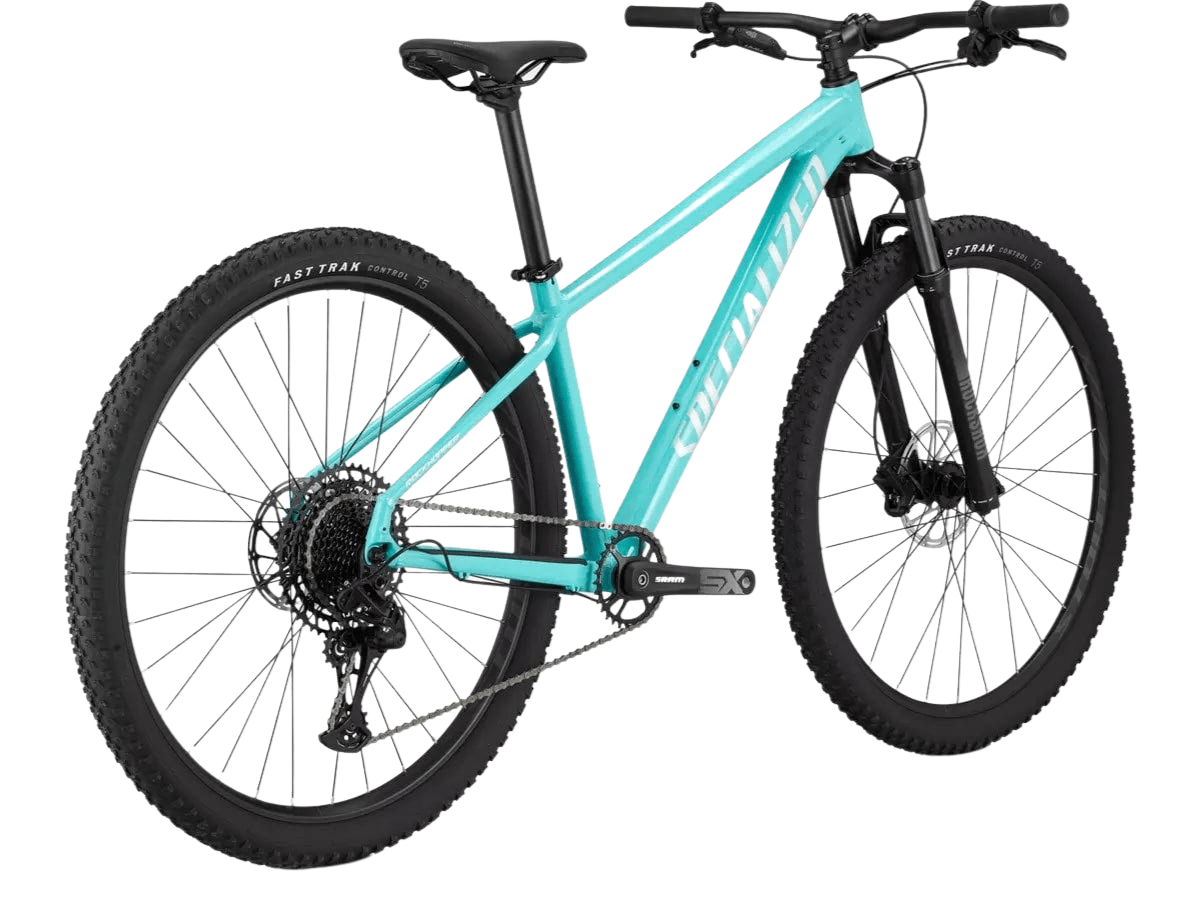 Rockhopper Expert 29 Specialized