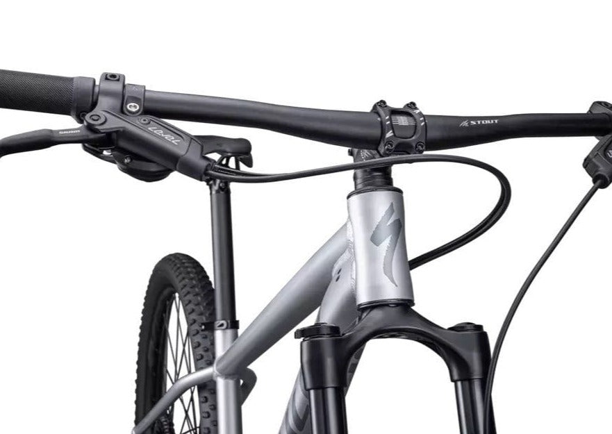 Rockhopper Expert 29 Specialized