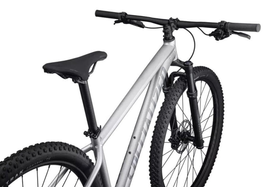 Rockhopper Expert 29 Specialized