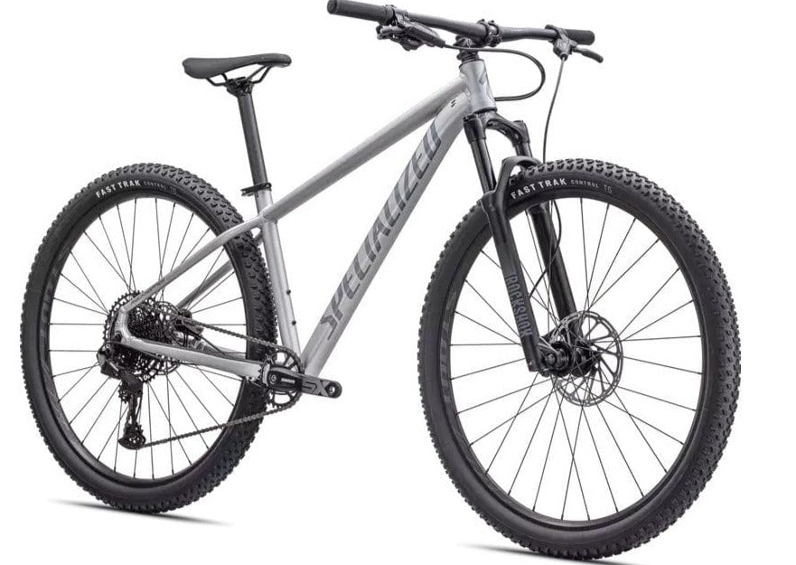 Rockhopper Expert 29 Specialized