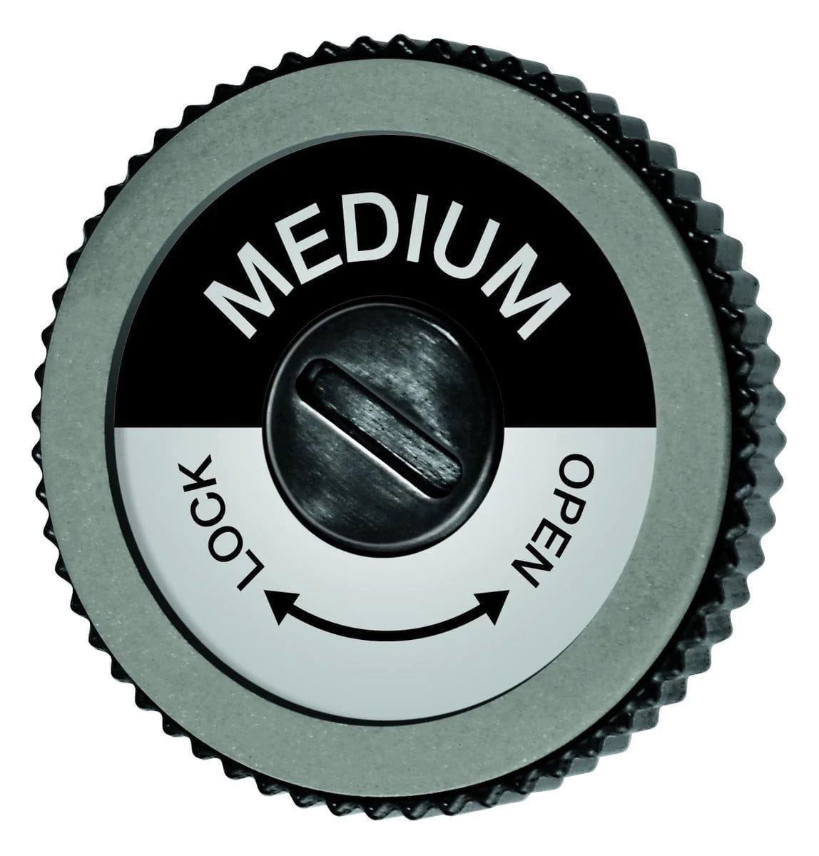 Evo Pro Electric Edge Tuner Spare Disc, Medium SWIX