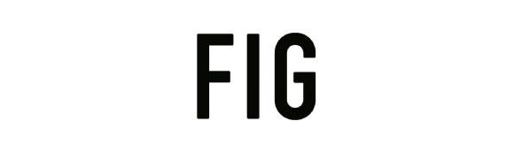 FIG logo