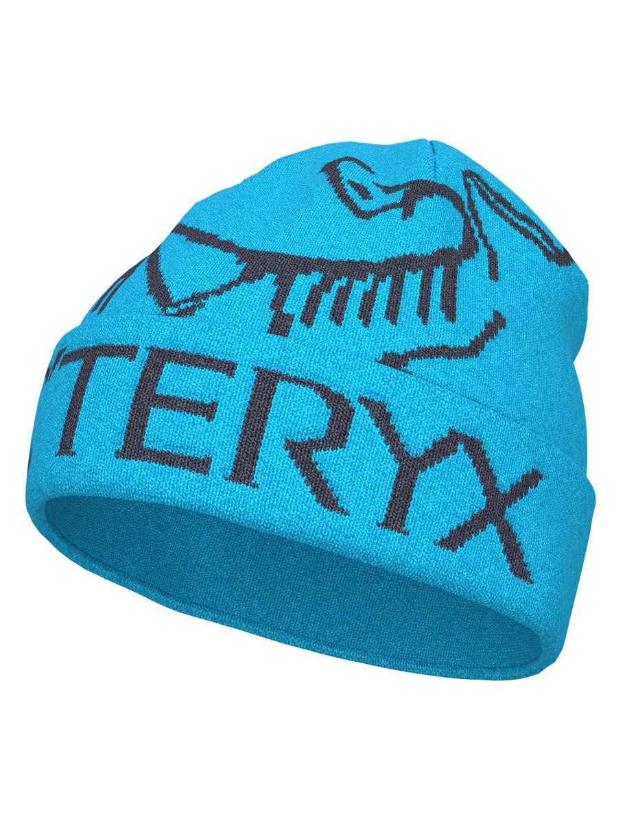 Arc'teryx CLOTHING - Hats Arc'teryx *26W* Bird Word Toque