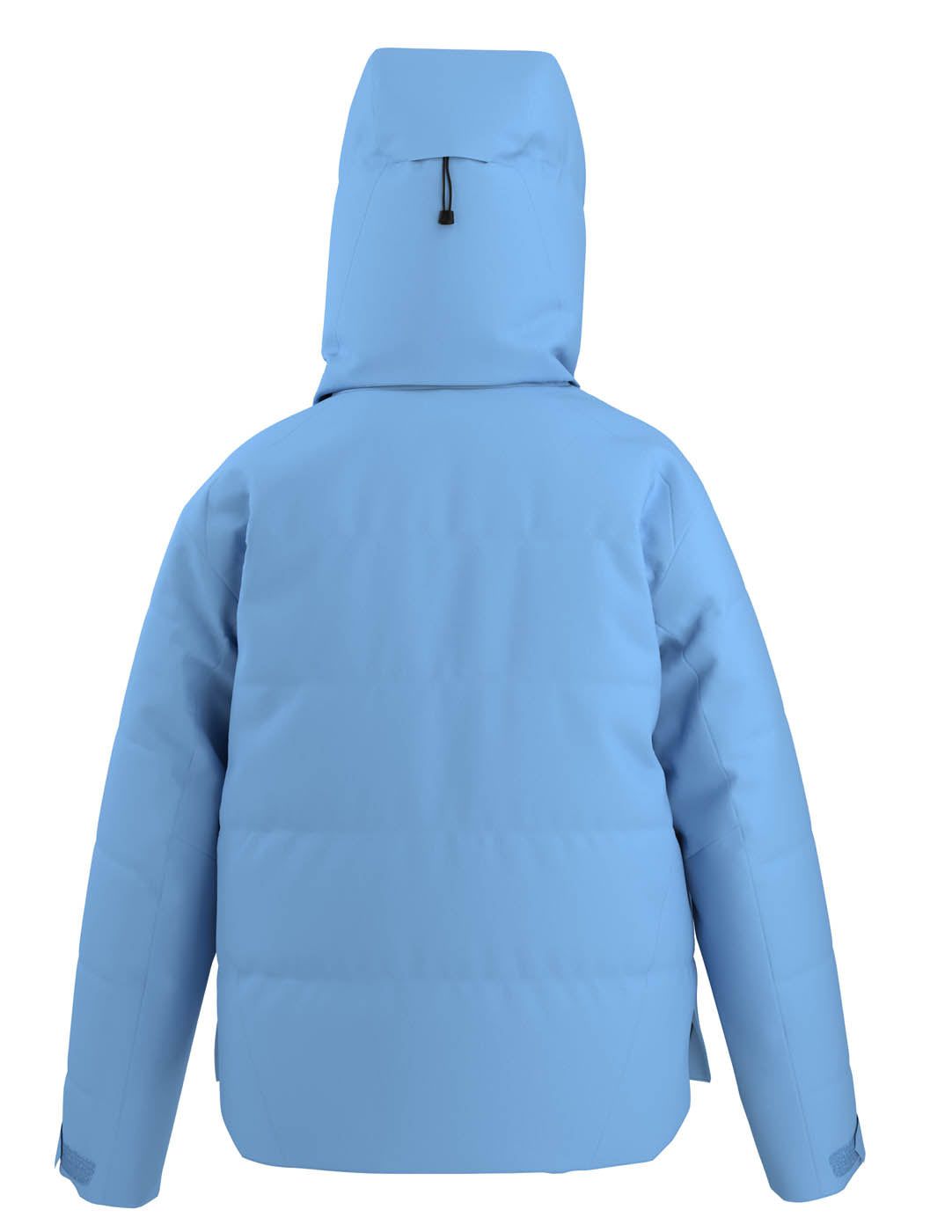 Arc'teryx Jacket Women's Andessa Down Jacket