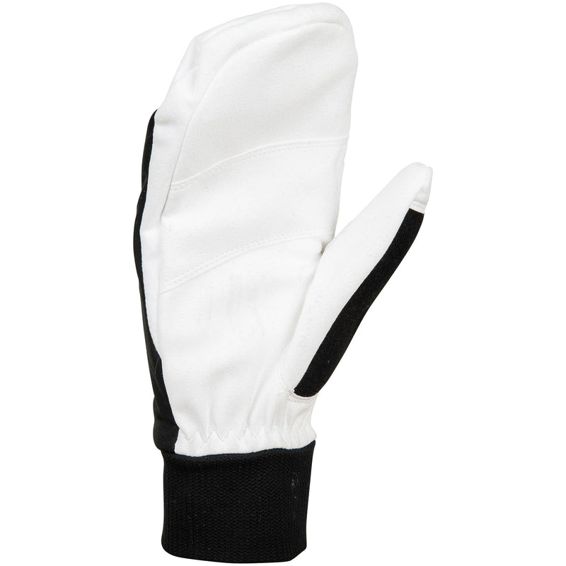 Daehlie CLOTHING - GlovesMitts Daehlie *23W*  Mitten Race Warm