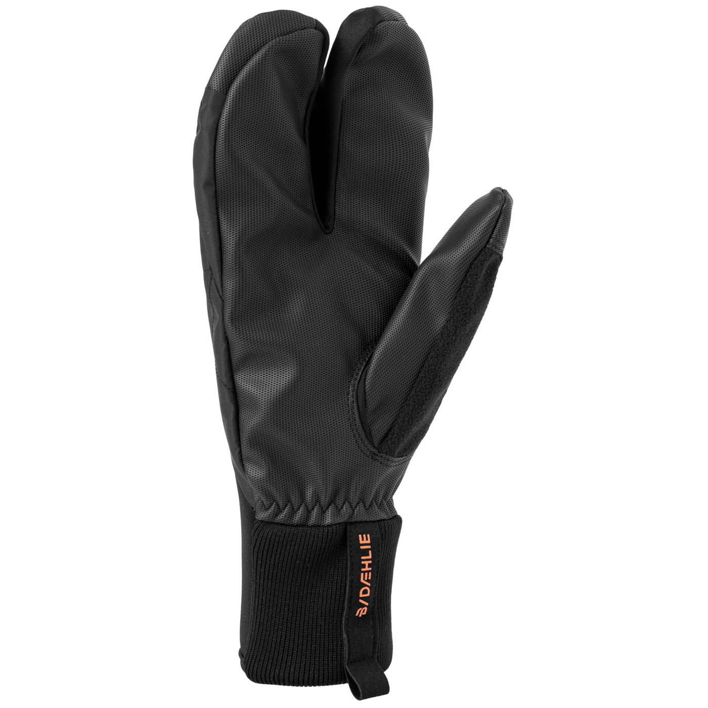 Daehlie CLOTHING - GlovesMitts Daehlie *25W*  Claw Pace