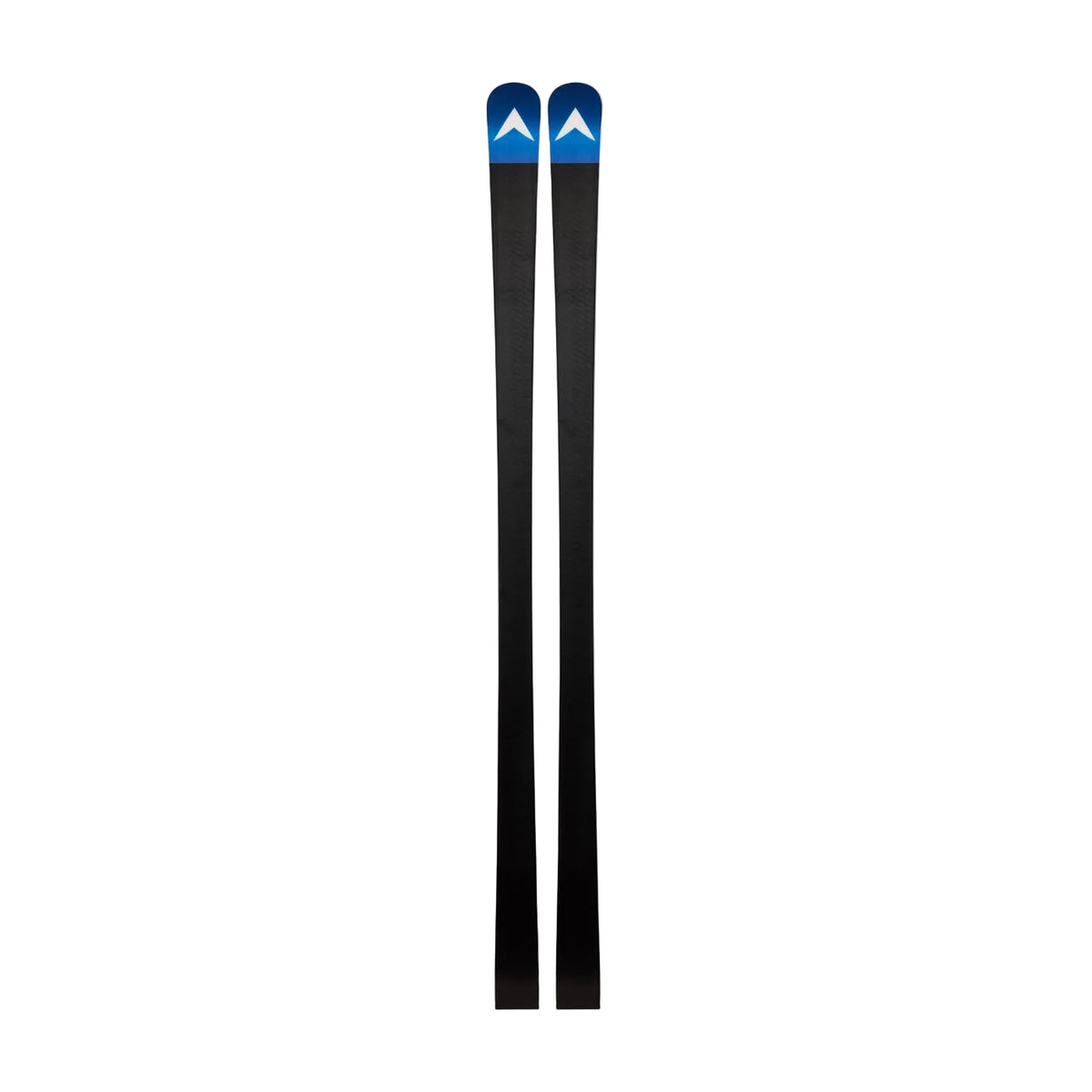 Dynastar SKI - Skis Dynastar *26W*  SPEED COURSE WC GS 170-182 R22