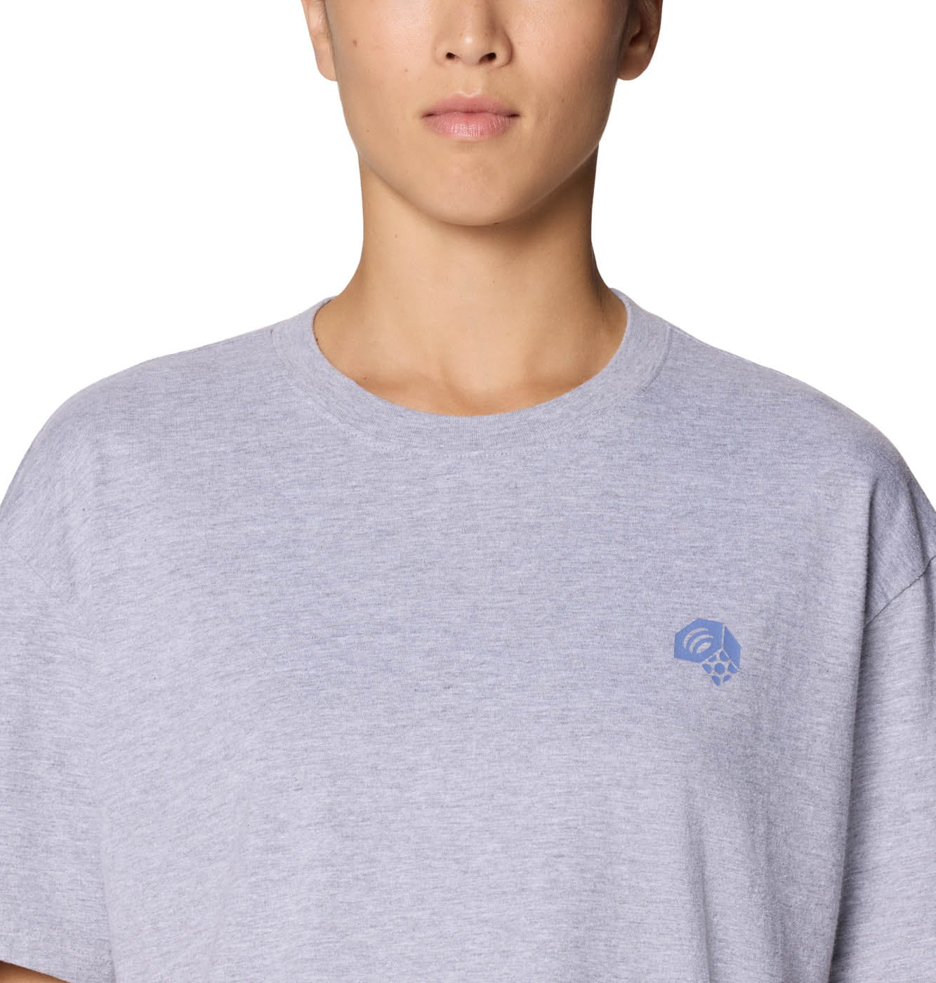 Women's Fossils Boxy Crop Tee Mountain Hardwear
