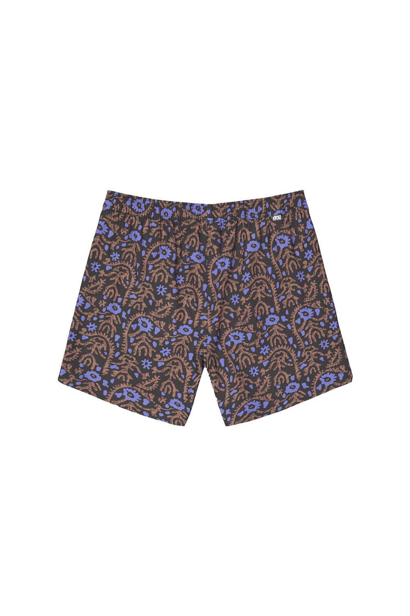 Picture Boardshorts Men's Piau 15 Printed Boardshorts