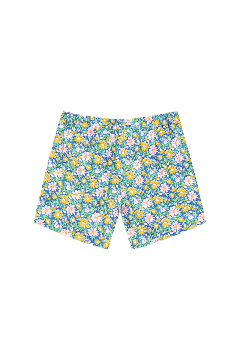 Picture Boardshorts Men's Piau 15 Printed Boardshorts