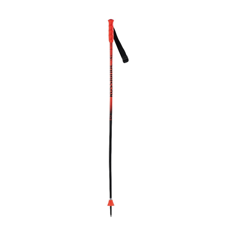 Hero GS-SG JR Poles Rossignol