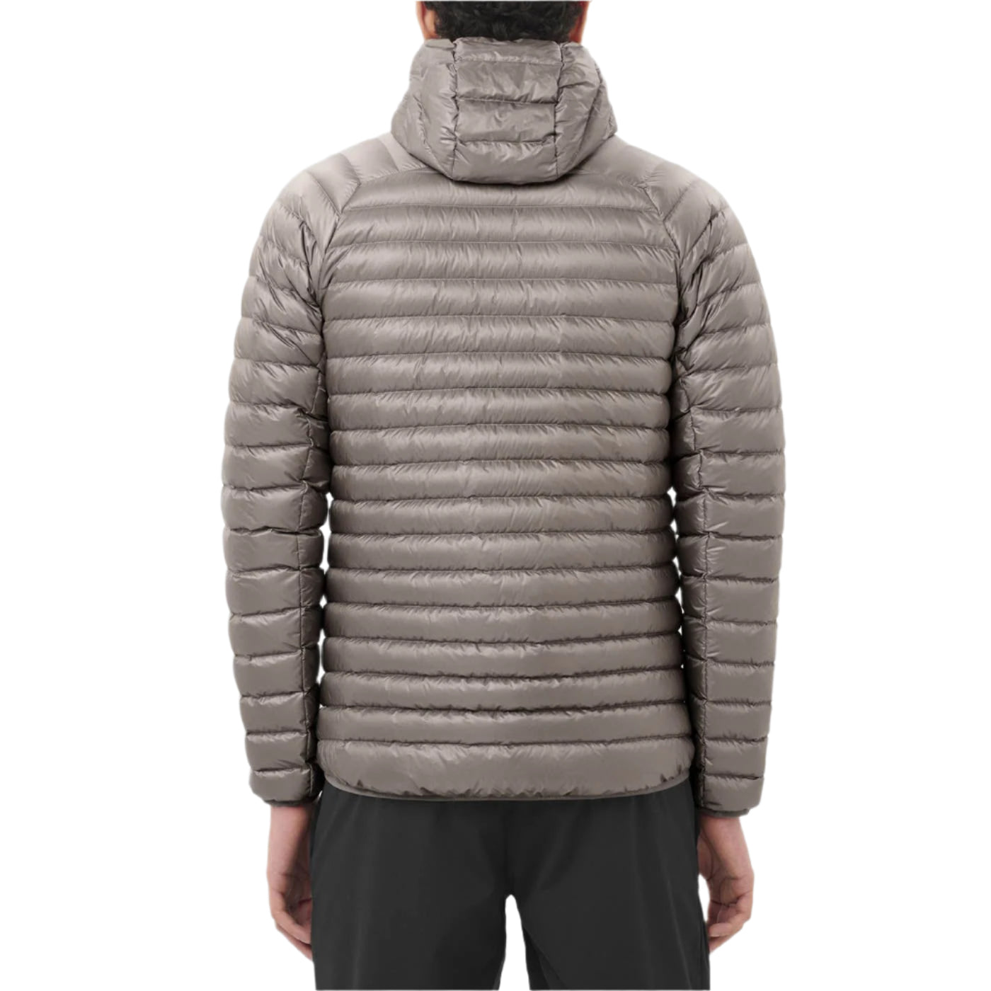Salomon CLOTHING - Men - Outerwear - Jacket Salomon *25W*  Elixir Micro Down Hd M