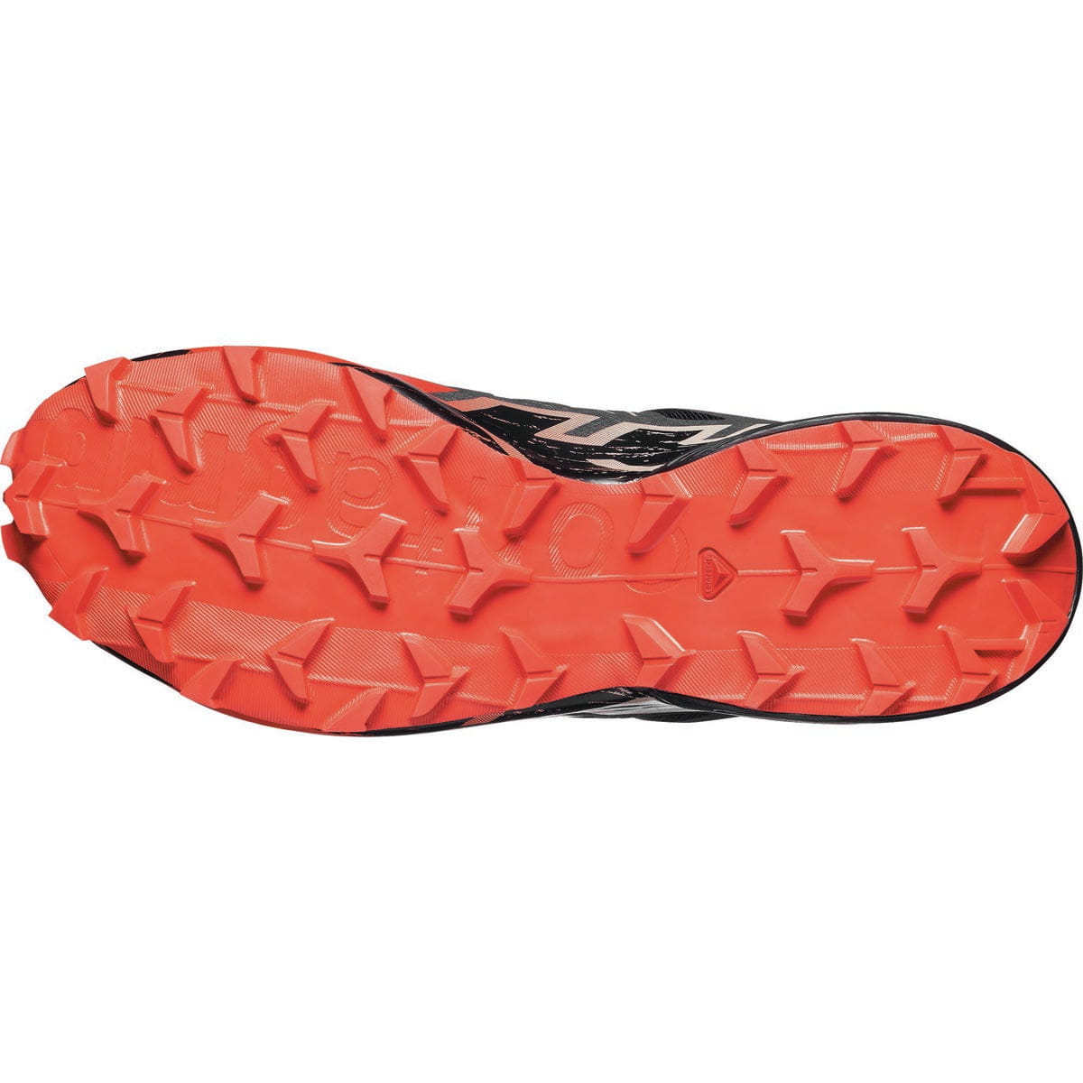 Salomon CLOTHING - Footwear Salomon *26S*  Speedcross 6 GTX
