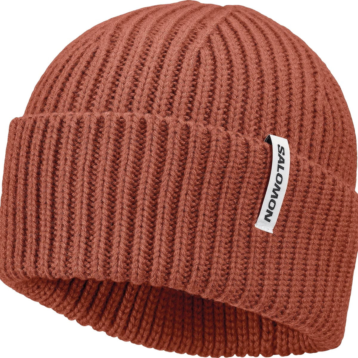 Salomon CLOTHING - Hats Salomon *26W*  Unisex Snowbird Beanie
