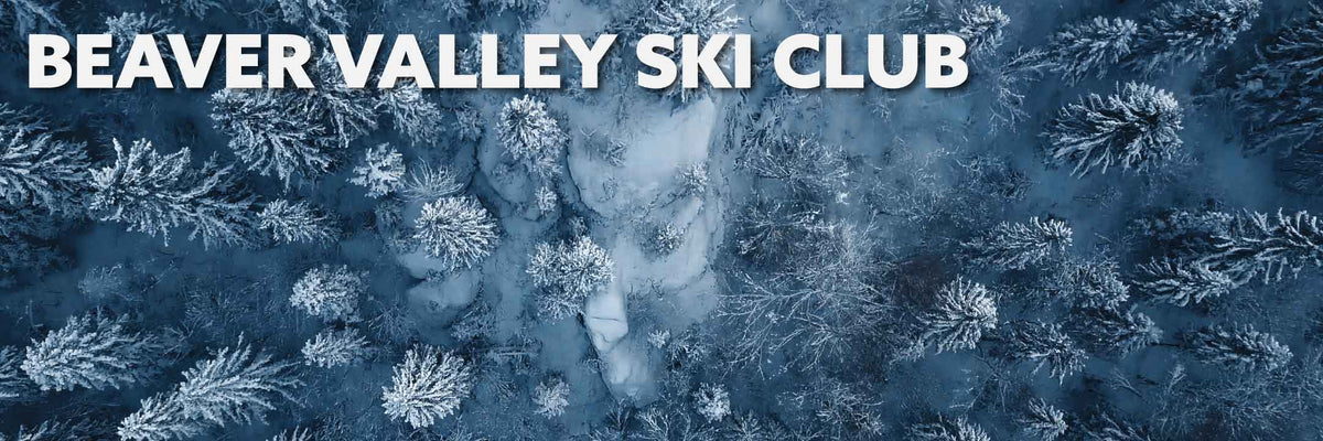 Drone photo of a snowy forest