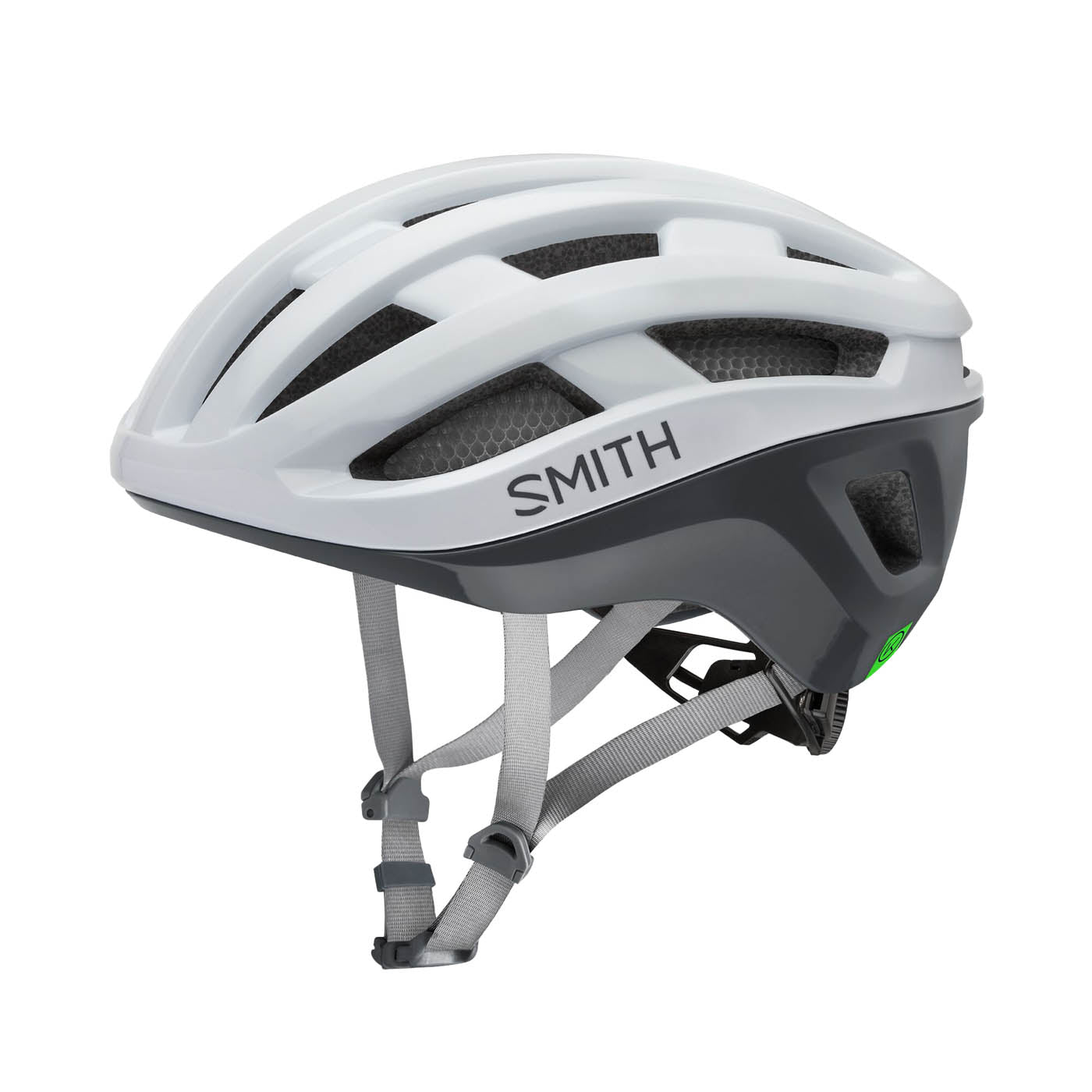 Persist MIPS Smith