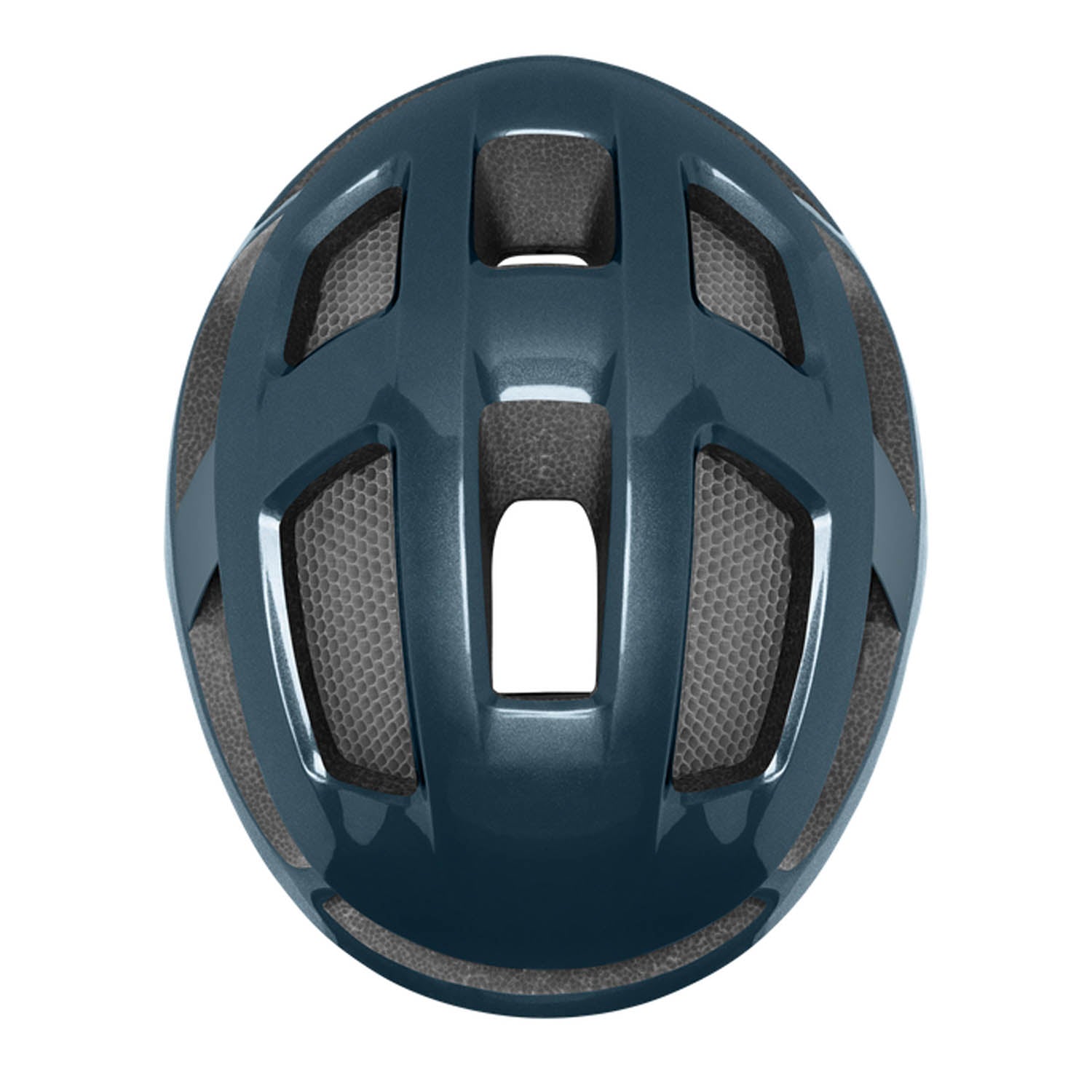 Trace MIPS Helmet Smith