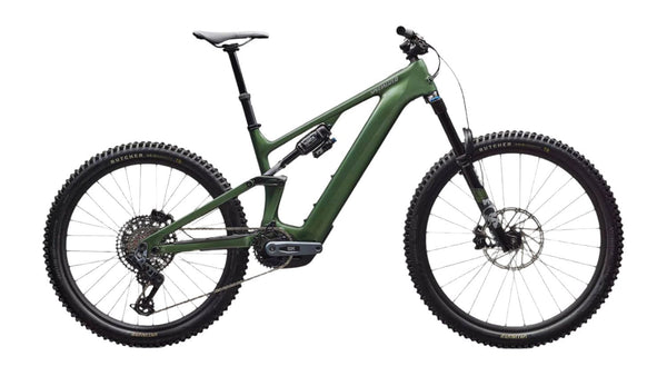 Levo Expert Carbon G4 Cypress Metallic Silver Dust Specialized