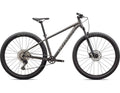 Rockhopper Expert Specialized