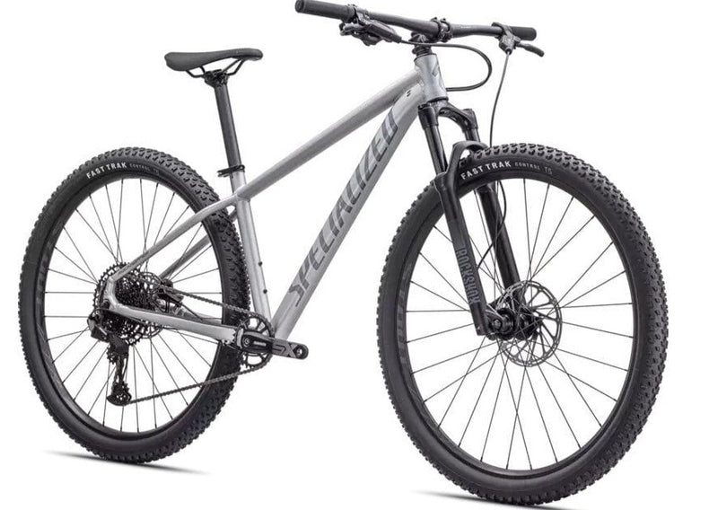 Specialized *23S*  ROCKHOPPER EXPERT 29 - Silver Dust/Black Holographic Specialized