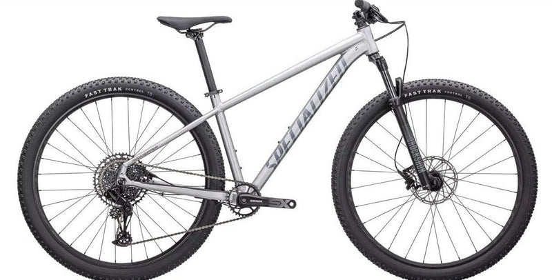 Specialized *23S*  ROCKHOPPER EXPERT 29 - Silver Dust/Black Holographic Specialized